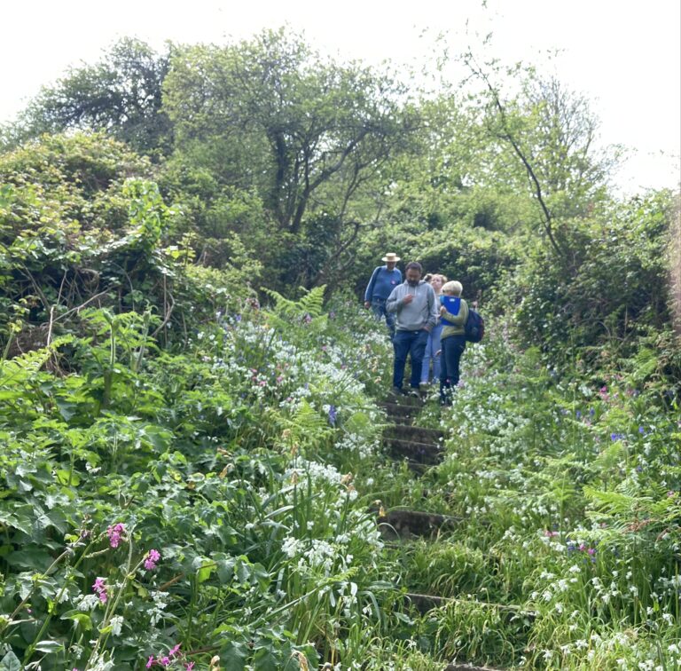 Walking down a path at Moulin Huet Bay in GUernsey in May 2022 as part of The Victor Hugo in Guernsey Society Junior wild flower walk