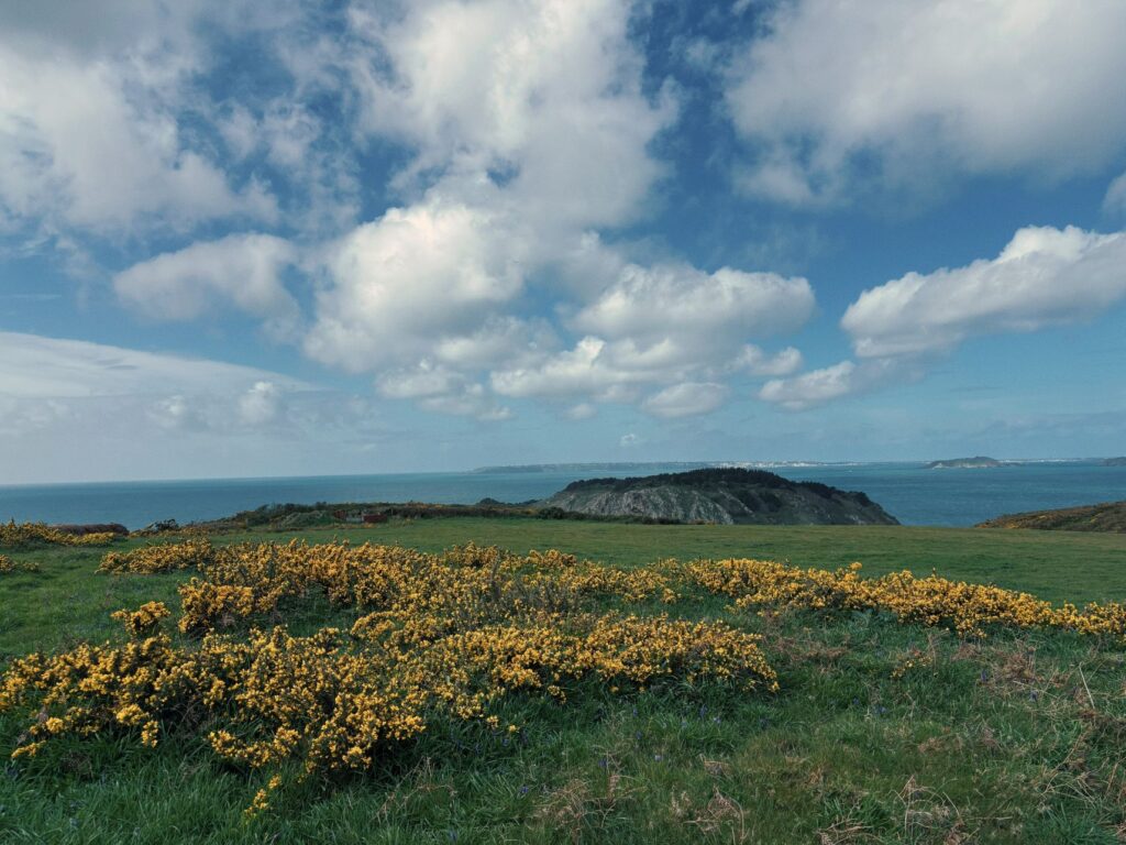 View of Sark (c) Catrina Conway